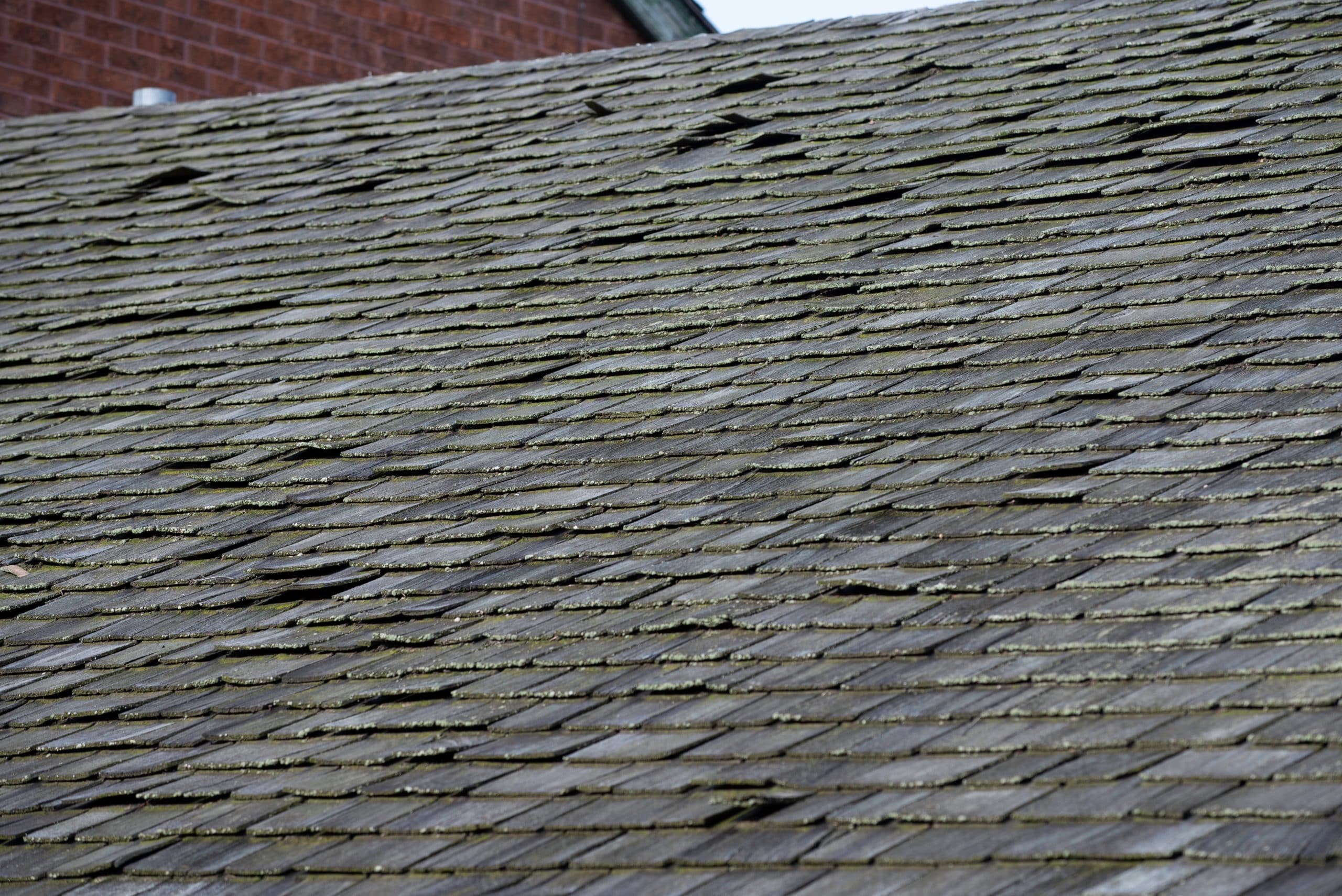 Tile roof